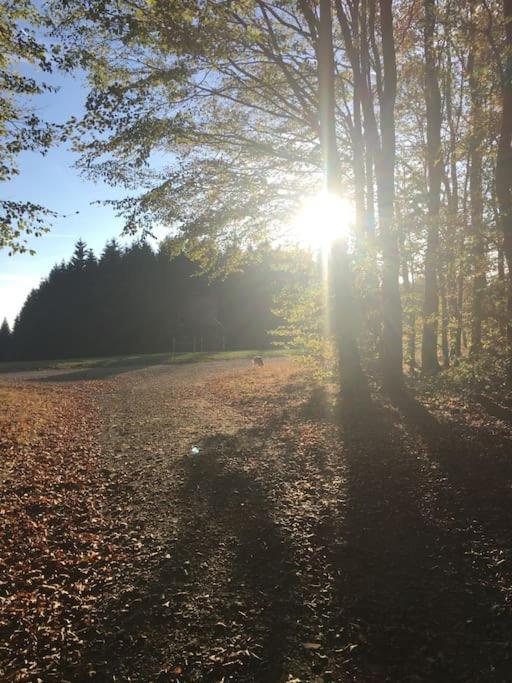 Sauerlandblick Ferienwohnung アルテナ エクステリア 写真